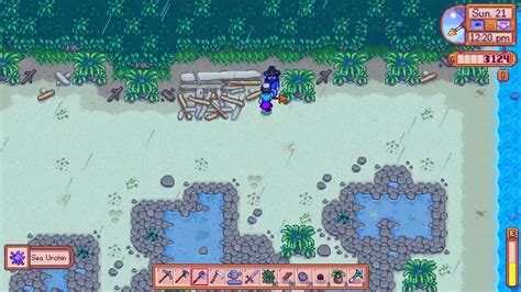 old mariner stardew valley|marriage amulet stardew valley.